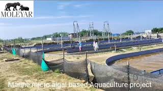 construction of raceways for marine micro algal based Aquaculture.