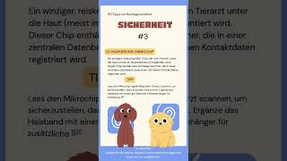 Sicherheit #3: ID-Markierung ist unerlässlich! 🐾🔍 #hund #hundeliebe #hundetipps #hundewissen