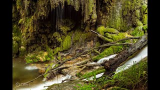 Explore the Majestic Waterfalls of Gorman Falls at Colorado Bend State Park