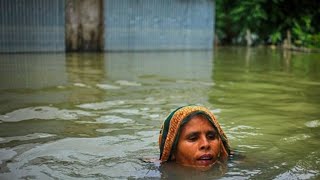 বাংলাদেশের বন্যা পরিস্থিতি  || Flood  in Bangladesh