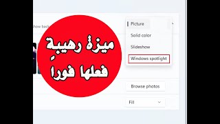 ميزة رهيبة ورائعة في ويندوز 11 بعد التحديث الأخير قم بتفعيلها فورا | Windows spotlight