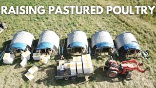 Raising Pastured Poultry - A DAY IN THE LIFE