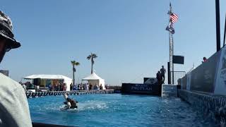 Purina Dog Challenge- Huntington Beach