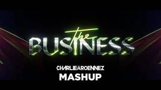 Tiesto vs David Novacek - The business (Charlie Roennez Mashup)