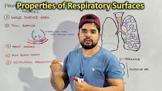 Properties of Respiratory surfaces for Gaseous Exchange