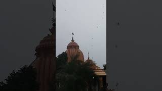 Jagannath Mandir rain 🌧️ short | Somadatta banua | #shorts