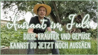 Aussaat im Juli 👍🌱 Diese Kräuter und Gemüse kannst du jetzt noch aussäen 👨‍🌾👩‍🌾