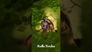 Radhe Krishna ❤️ Love Status ❤️ #shortsvideo #shorts