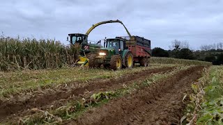 Dernière ensilage de maïs 2021 SA PATINE DURE