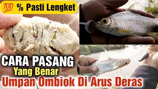 Cara Mancing Ikan tawes Atau Ikan Diarus Deras mengunakan ombiok agar umpan tidak hancur #tutorial