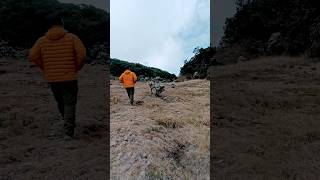 Gunung Pangrango || Lembah kasih lembah mandalawangi #shorts