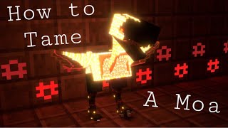 Aether Mod | How to Tame a Moa | Minecraft