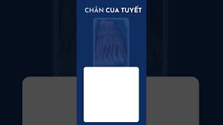 Chân cua tuyết / Hải sản tươi sống Ông Giàu #haisan #haisantuoisong #onggiau #haisanonggiau