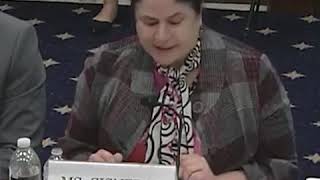 CED's Cindy Cisneros testifies on child care & the economy; Subcommittee, Small Business Committee