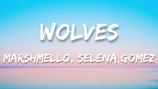 Selena Gomez, Marshmello-Wolves (Lyrics)