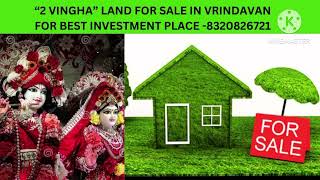 #vrindavanproperty 2 vingha land for sale at very affordable price single owner 8320826721