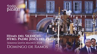 Hermandad del Silencio | Domingo de Ramos (Plaza Mayor) | Semana Santa Madrid 2024