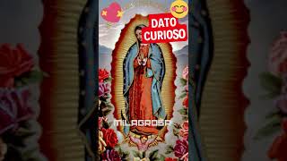 Virgen de Guadalupe [DATO CURIOSO]