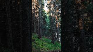 Національний природний парк «Верховинський»