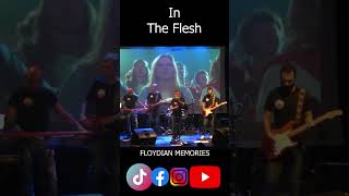 In The Flesh - Floydian Memories