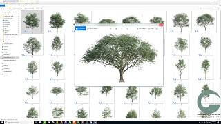 Hướng dẫn sử dụng bộ cây CEOTIC STUDIO TREE