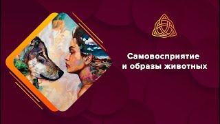 Самовосприятие и образы животных. Три методики для поиска внутренних ресурсов