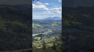 For a rare moment, the hillsides are green in the Bay Area