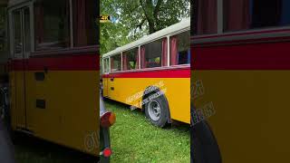 Omnibus Saurer Oldtimertreffen Sonnenbühl 2024 bei der Nebelhöhle  #oldtimer #classiccars