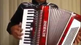 Moonlight on the accordion