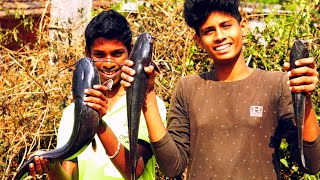 Fish thava fry 😋 || Fish fry || Cat fish || African cat fish 😀 cooking with friends