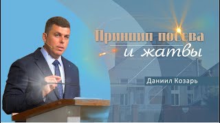 Принцип посева и жатвы | Проповедь | Даниил Козарь