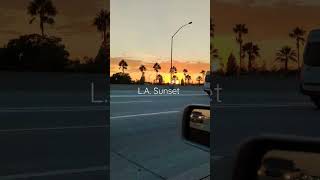 Los Angeles sunset #shorts #cruising #losangeles