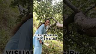 Apple Farm  🍎 #youtube #apple #orchard #pahadi #viralvideo #subscribe #oldisgold #salmankhan #fyp