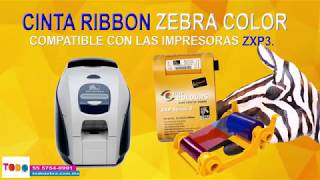 CINTA RIBBON ZEBRA TRUE COLORS COLOR ZXP3 YMCKOO DURASECURE 800033-344