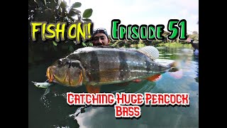 Finding HUGE Peacock Bass | Bringing Friends Jungle Fishing | Their First Time