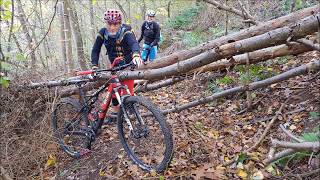 MTB Trails Mountainbike Trailtour Rhein