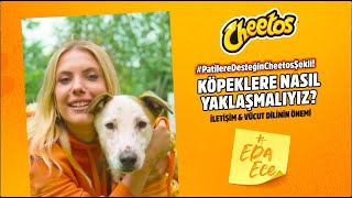 Patilere Desteğin Cheetos Şekli - "Köpeklere Nasıl Yaklaşmalıyız?"