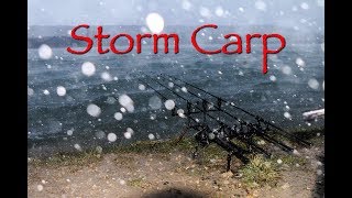 Storm Carp