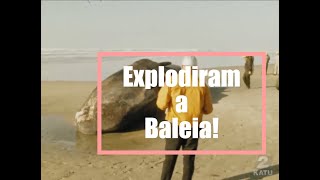 Explodiram a baleia!!!! 2024 littlemax episode 211 Florence, OREGON