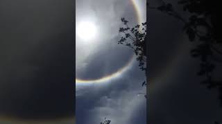 Rarest phenomenon 😍| Round shaped rainbow 🌈 | 🎶 Talking to the moon 💙 | Nature 🌿