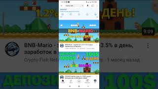 BNB Mario - проект украл 250 тыс долларов