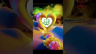 Woh Mera Nabi hai #syed Hassan Ullah Hussani #free Palestine #islamicvideo #viralvideo