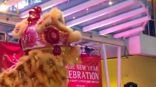 Lion Dance (Part 1)