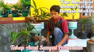 Tips Tips Membuat Bonsai Kelapa Untuk Pemula II Easy Ways To Make Coconut Bonsai