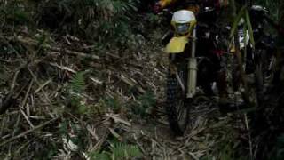 BVTRG-TRAIL (MAR.21,2010).wmv