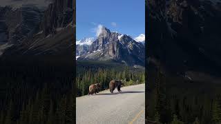 Banff National Park In Canada