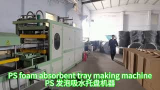 PS foam absorbent tray foam dish plate making machine#absorbenttraymachine #foamtraymachine