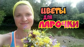 Цветы для Ларочки  #ЛАРАзвезДА