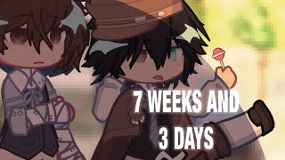 7 weeks and 3 days || bsd gacha || souheki