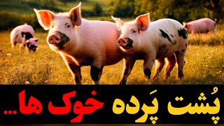 یکبار برای همیشه همه چیو درباره خوک ها رو بدون❗❗❗